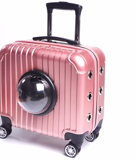 Trolley universale portatile da 16 pollici per cani e gatti